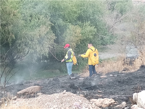 Gobierno Municipal de Chihuahua controla incendio de pastizal en carretera a Aldama - imagen 4