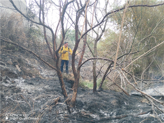 Gobierno Municipal de Chihuahua controla incendio de pastizal en carretera a Aldama - imagen 7