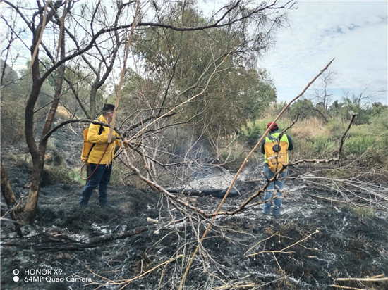 Gobierno Municipal de Chihuahua controla incendio de pastizal en carretera a Aldama - imagen 6