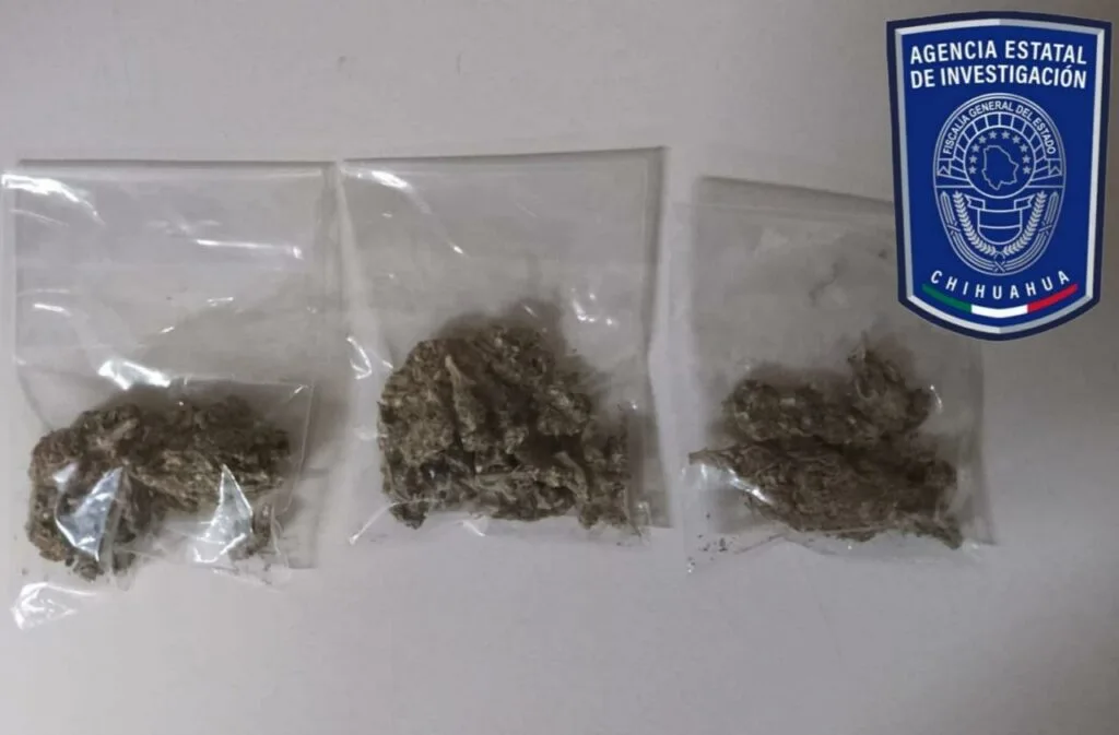 Detienen a tres por posesión de marihuana en Parral - imagen 1