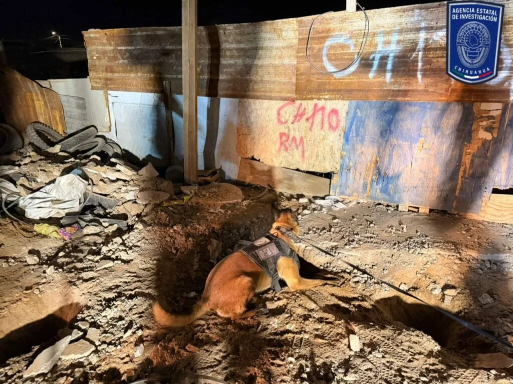 Hallan cuerpo enterrado en patio de casa en Ciudad Juárez - imagen 4