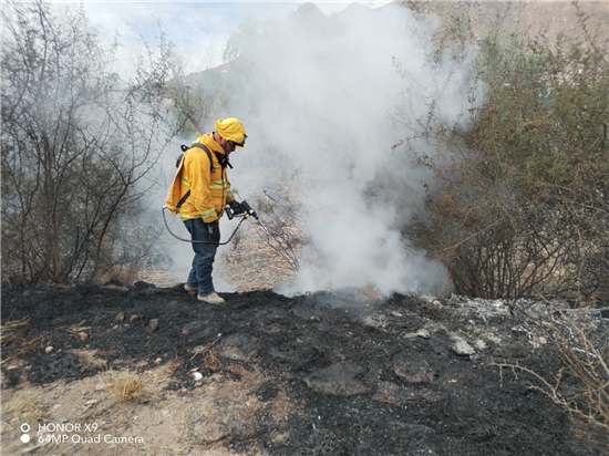 Sofocan incendio de pastizal en carretera Chihuahua–Aldama - imagen 5