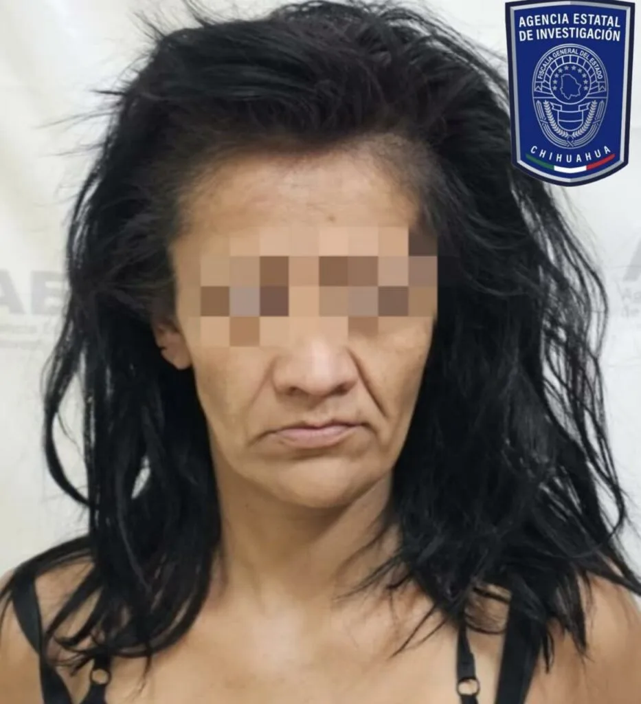 Detienen a mujer de 43 años por robo de celular y dinero en Parral - imagen 1