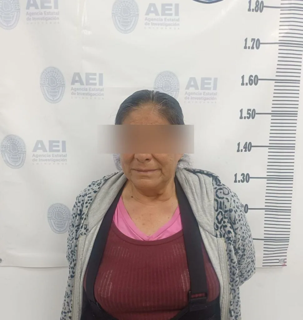 Detienen a mujer por mentir en investigación de personas no localizadas - imagen 1