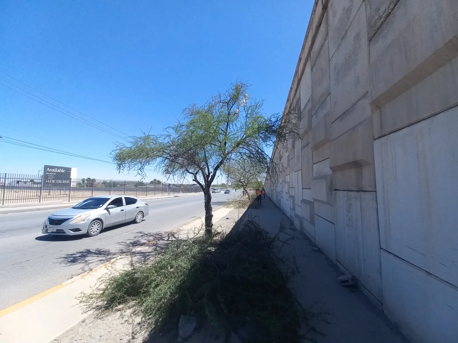 26 voluntarios podaron más de 50 árboles en el bulevar Independencia de Ciudad Juárez - imagen 6