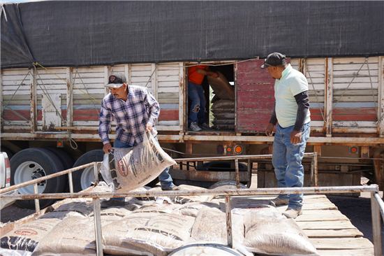 Chihuahua distribuye 253 toneladas de alimento para ganado en comunidades rurales del municipio - imagen 3