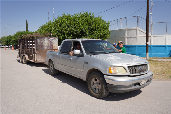 Chihuahua distribuye 253 toneladas de alimento para ganado en comunidades rurales del municipio - imagen 4