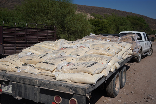 Chihuahua distribuye 253 toneladas de alimento para ganado en comunidades rurales del municipio - imagen 5