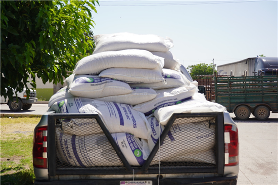 Chihuahua distribuye 253 toneladas de alimento para ganado en comunidades rurales del municipio - imagen 7