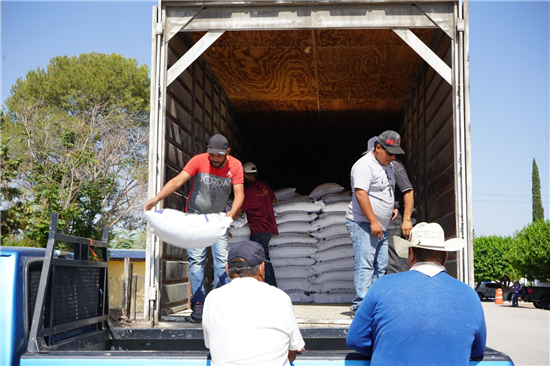 Chihuahua distribuye 253 toneladas de alimento para ganado en comunidades rurales del municipio - imagen 8