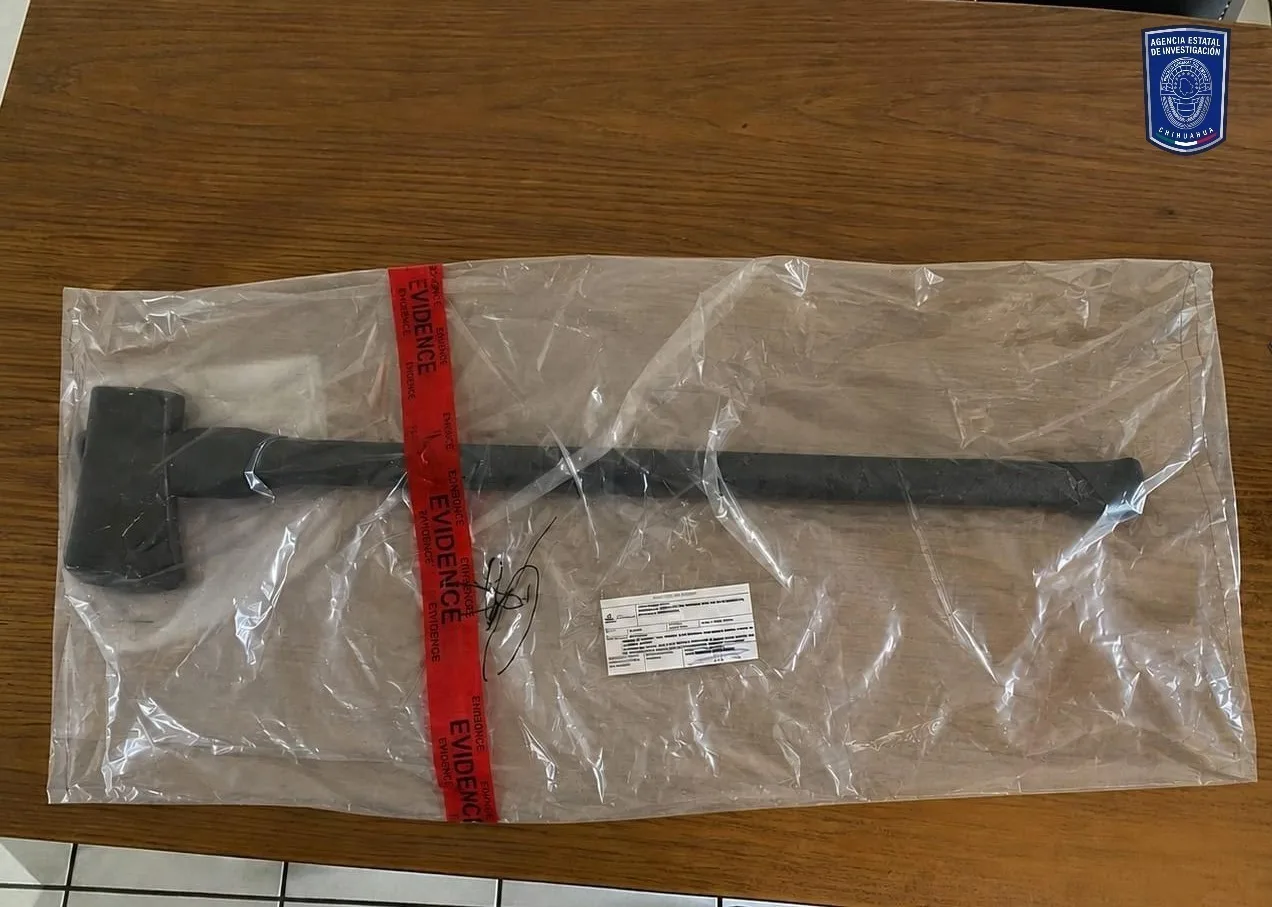 Vinculan a proceso a joven de 19 años por atacar a una yegua con un hacha en Madera, Chihuahua - imagen 1