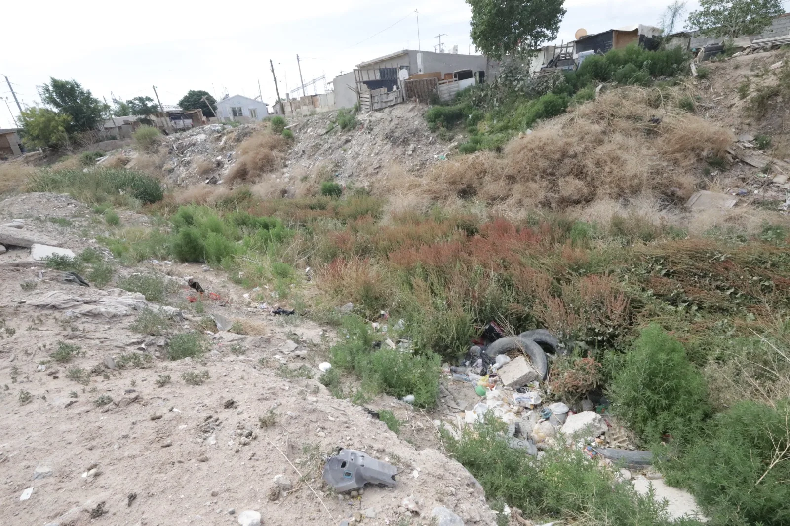 Arranca cuarta jornada del programa Juárez Amanece Limpio con 10 colonias de la zona poniente - imagen 3