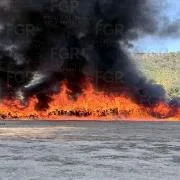 FGR incinera más de 12 toneladas de marihuana en Ensenada, Baja California - imagen 1