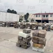FGR incinera más de 12 toneladas de marihuana en Ensenada, Baja California - imagen 5