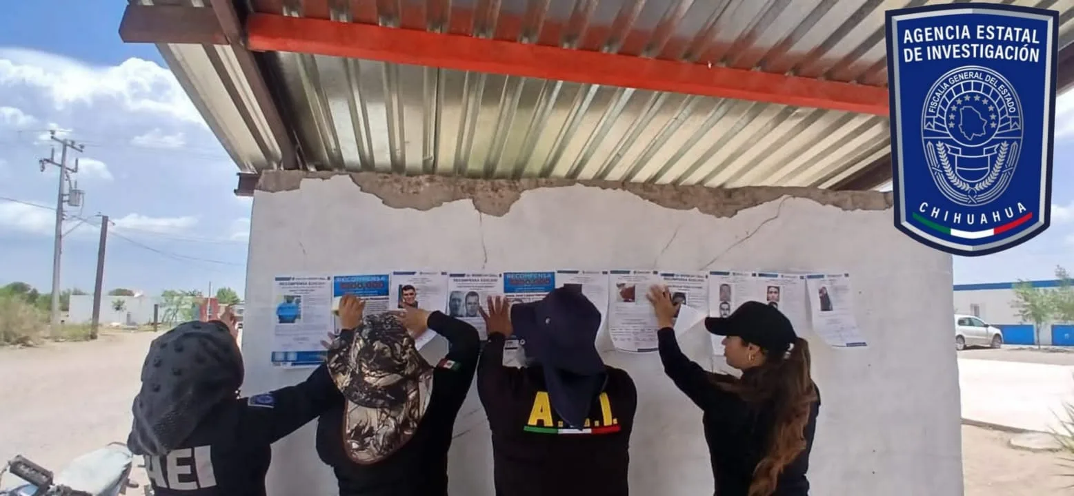 Fiscalía y colectivos realizan operativo de búsqueda de personas desaparecidas en Jiménez - imagen 1