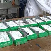 FGR incinera más de 360 kilos de cocaína en Tapachula, Chiapas - imagen 1
