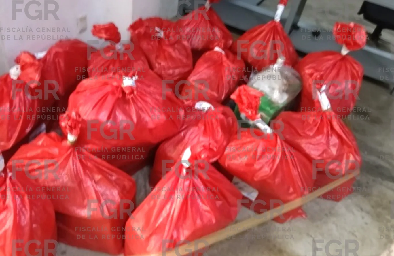 FGR incinera más de 360 kilos de cocaína en Tapachula, Chiapas - imagen 4