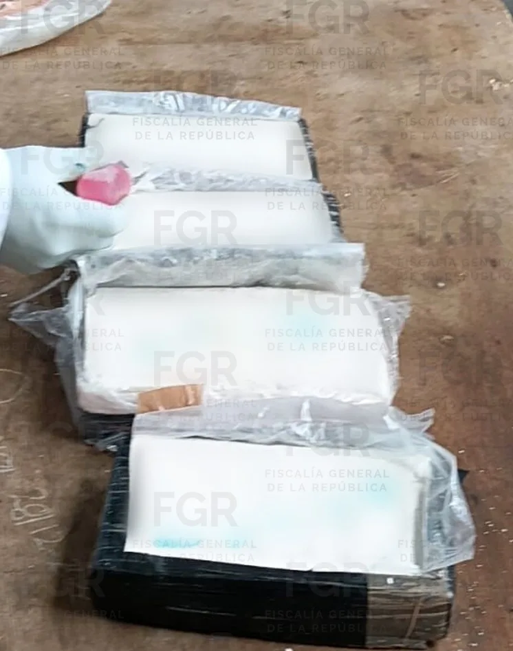 FGR incinera más de 360 kilos de cocaína en Tapachula, Chiapas - imagen 6