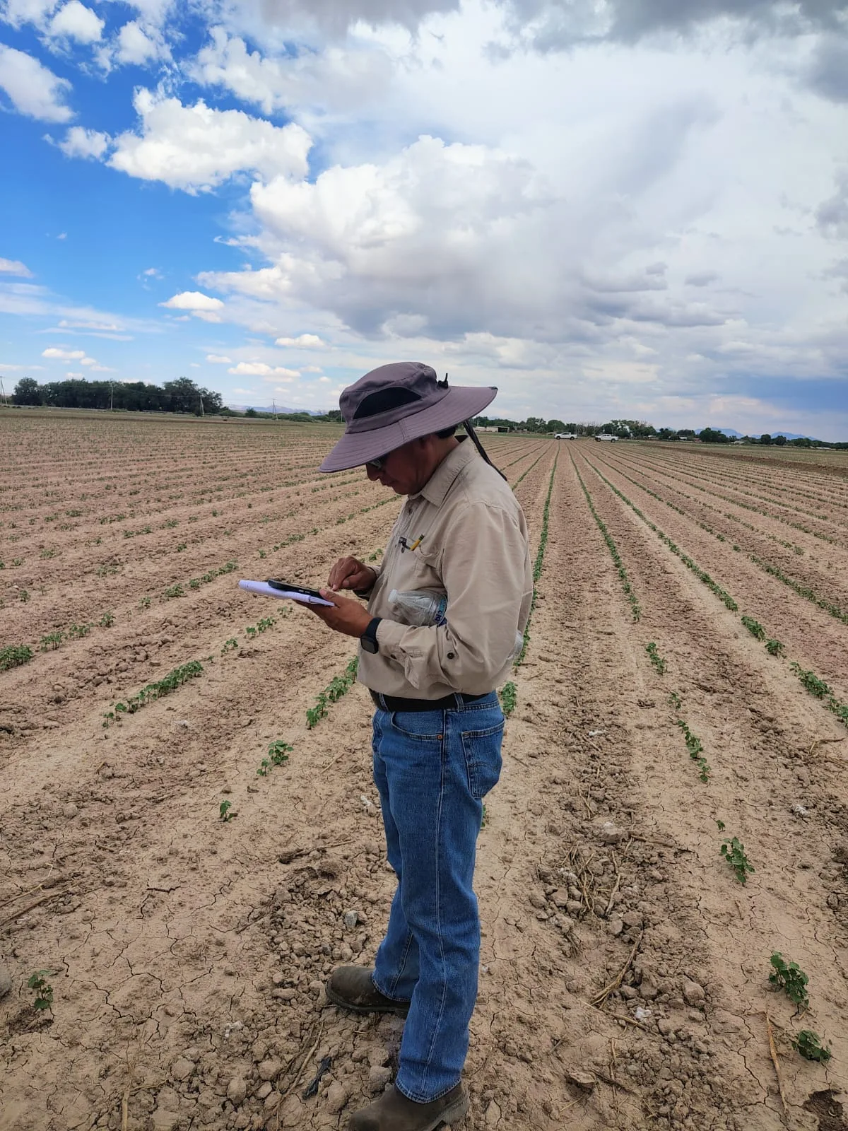 Ciudad Juárez integra drones, sensores e imágenes satelitales en parcelas agrícolas demostrativas - imagen 1
