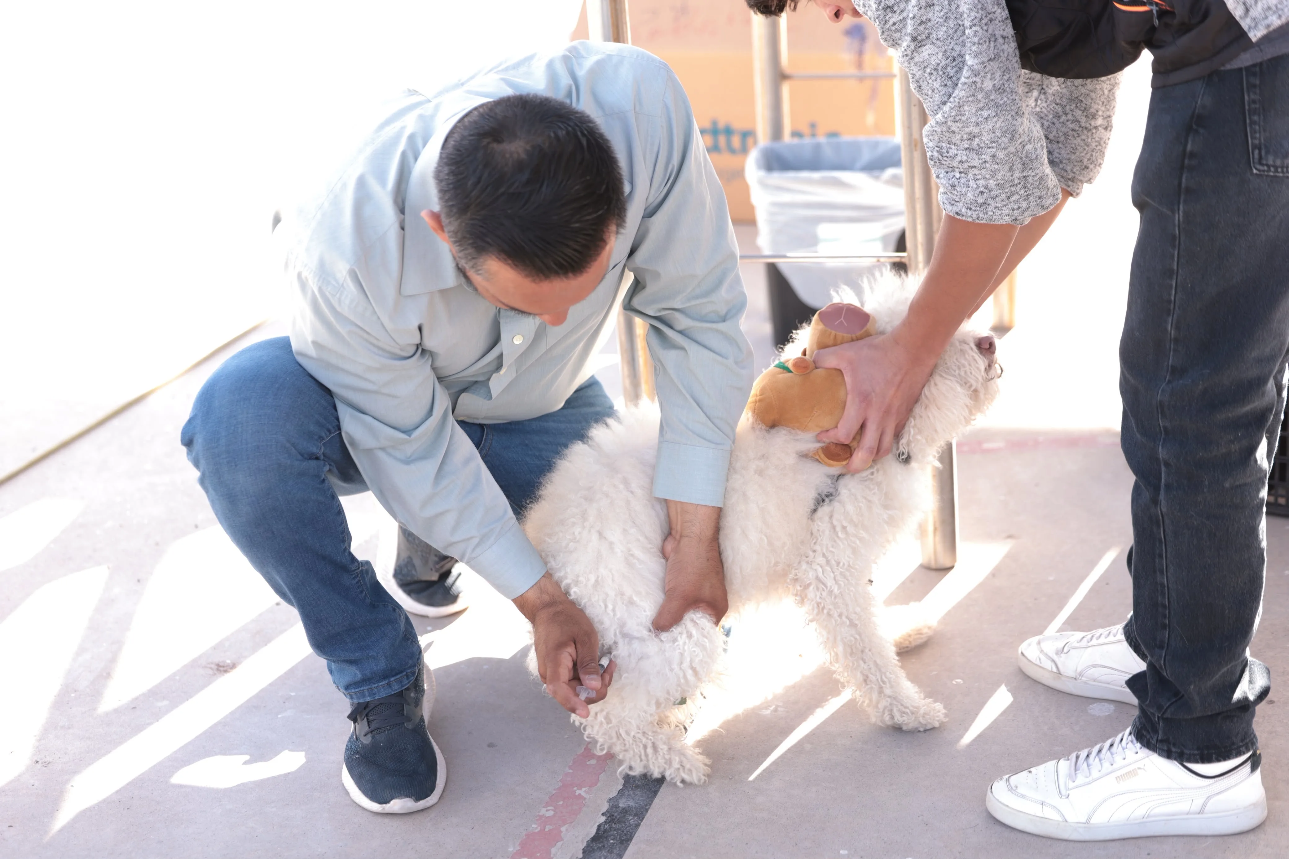 DABA realiza campaña gratuita de esterilización en Riberas del Bravo con 380 procedimientos programados