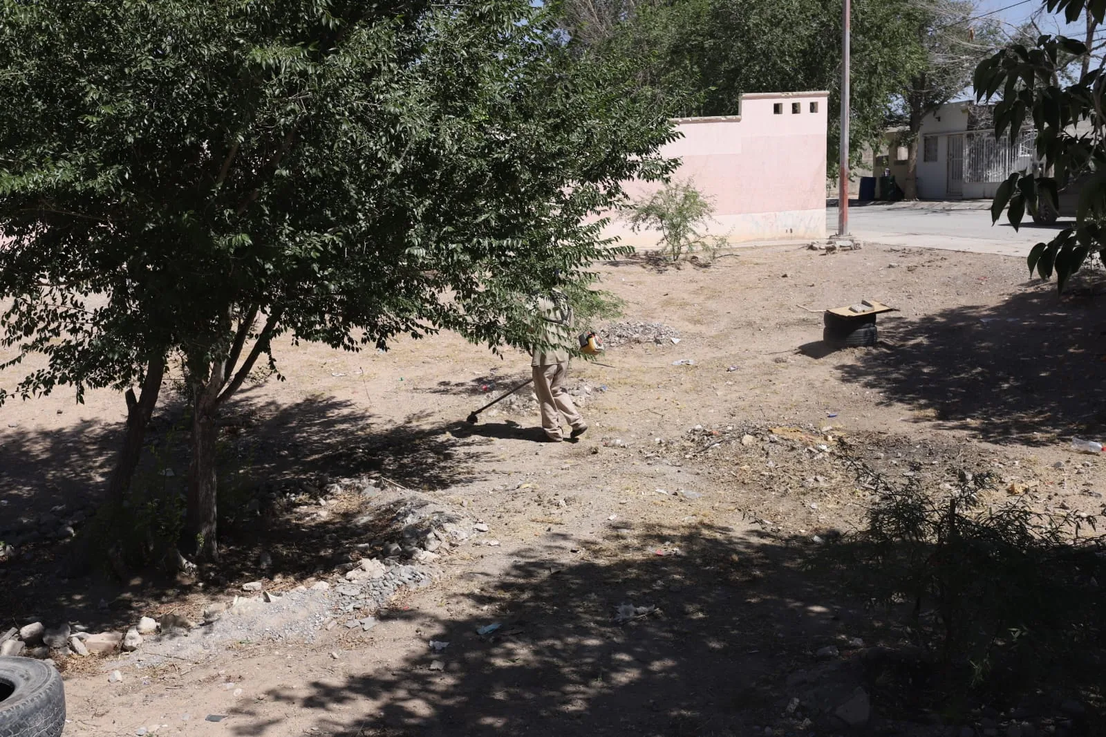 Realizan mantenimiento integral en parque de Parajes del Sur para mejorar áreas verdes - imagen 1