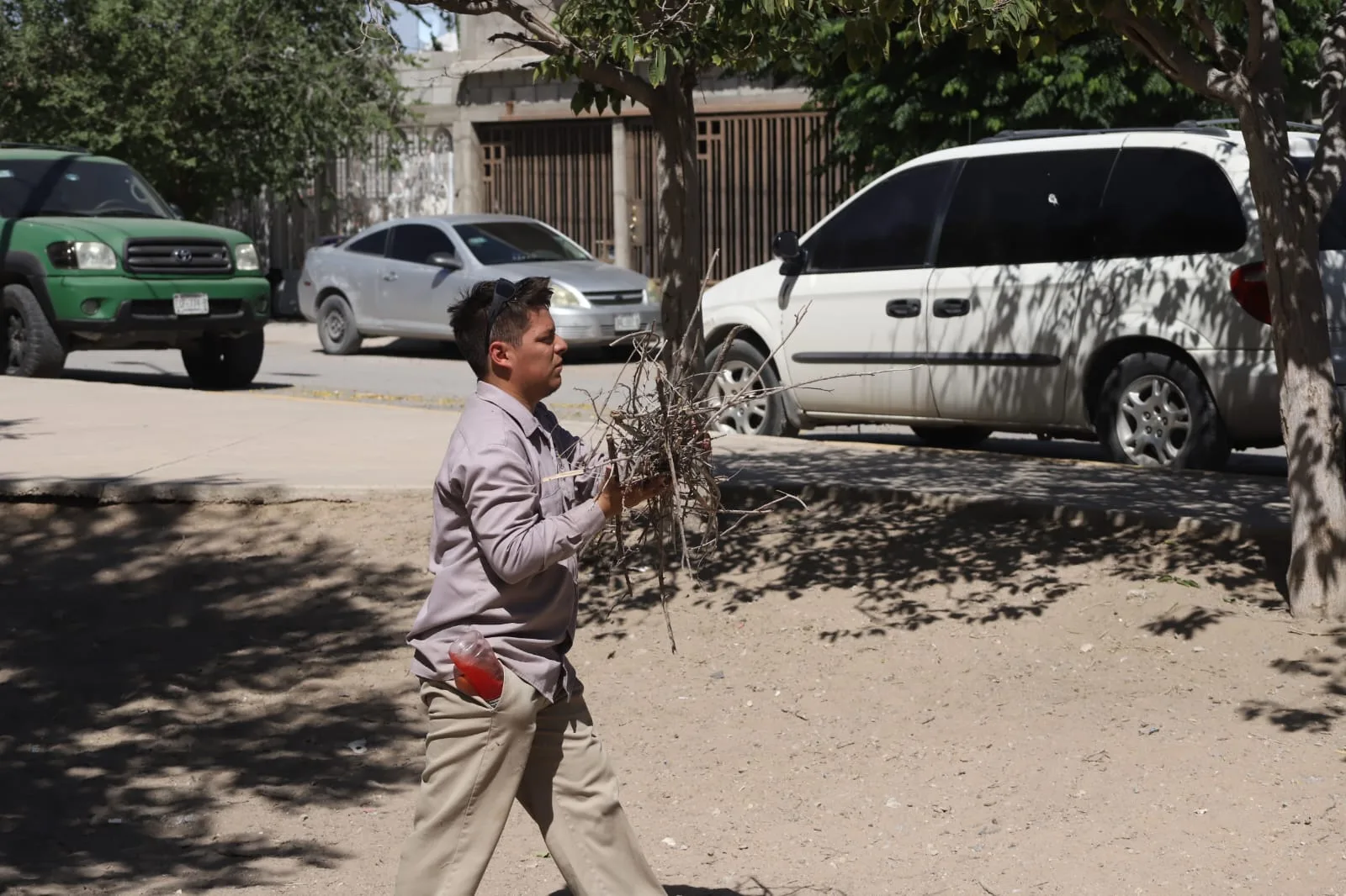 Realizan mantenimiento integral en parque de Parajes del Sur para mejorar áreas verdes - imagen 4