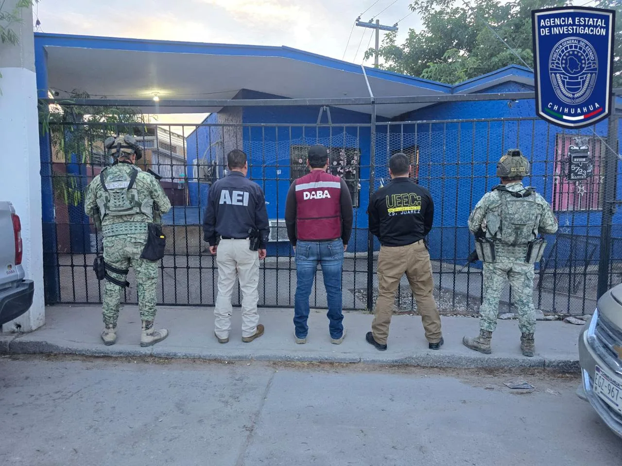 Aseguran 37 caninos por maltrato en cateos realizados en Ciudad Juárez