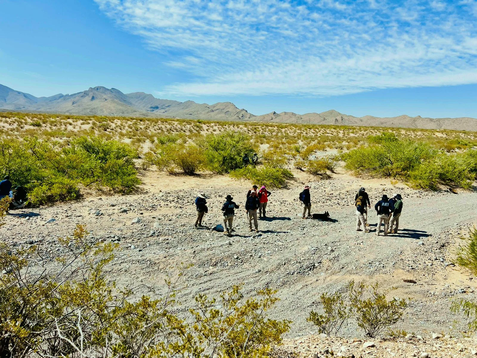 Continúa la búsqueda de Esmeralda Castillo Rincón en Arroyo del Navajo, en el Valle de Juárez