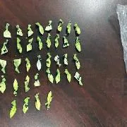 Detenidas dos personas en Baja California Sur con armas y drogas en Comondú - imagen 3