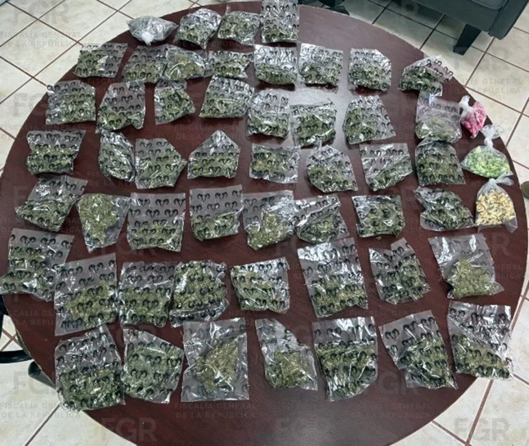 Detenidas dos personas en Baja California Sur con armas y drogas en Comondú - imagen 4