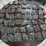 Detenidas dos personas en Baja California Sur con armas y drogas en Comondú - imagen 5