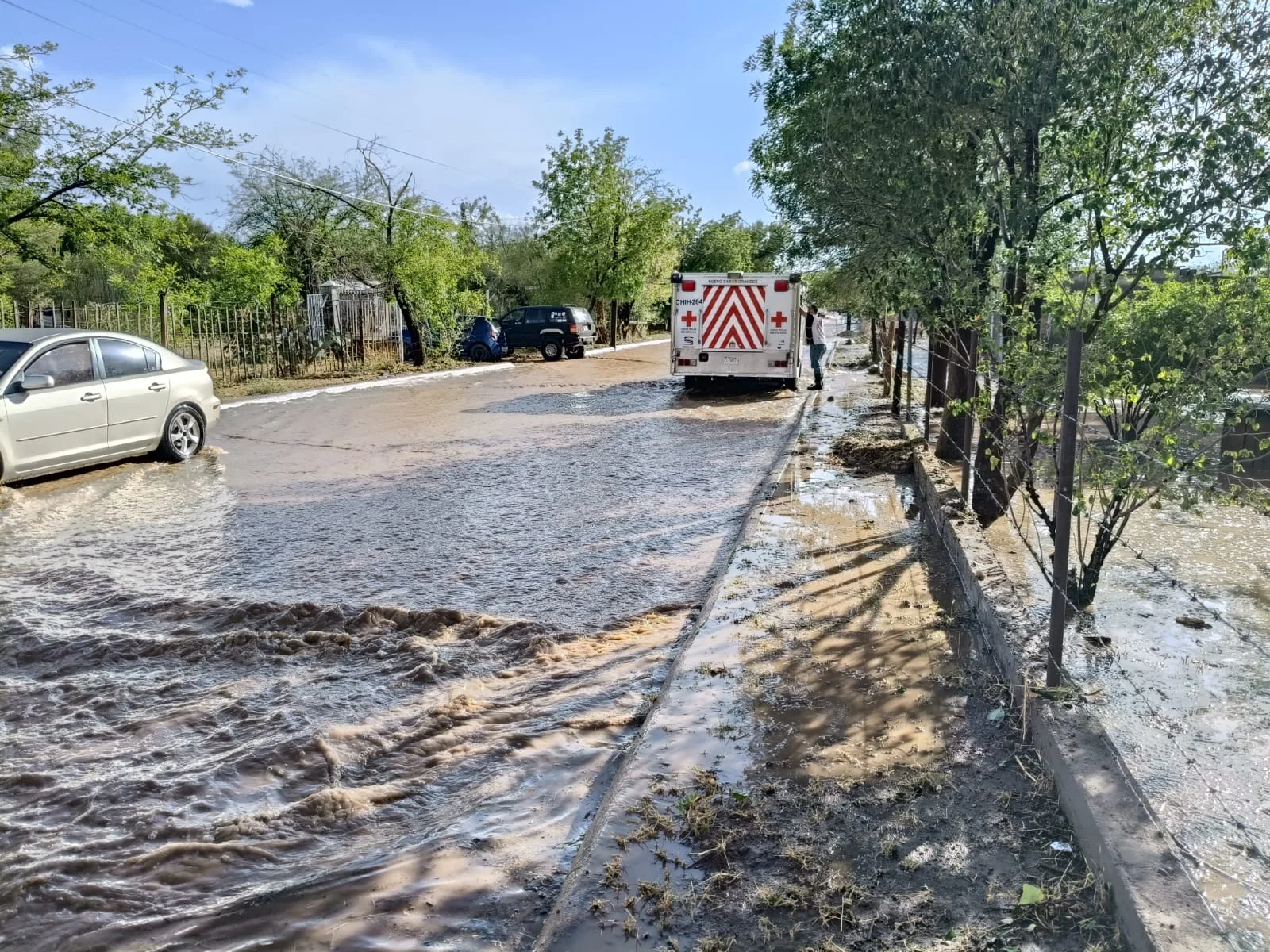 Protección Civil atiende 28 incidencias por lluvias en Chihuahua; Juárez concentra la mayoría - imagen 6