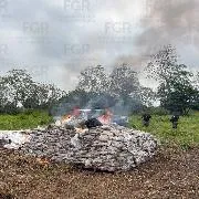 FGR destruye casi una tonelada de narcóticos en Tabasco en operativo coordinado - imagen 5