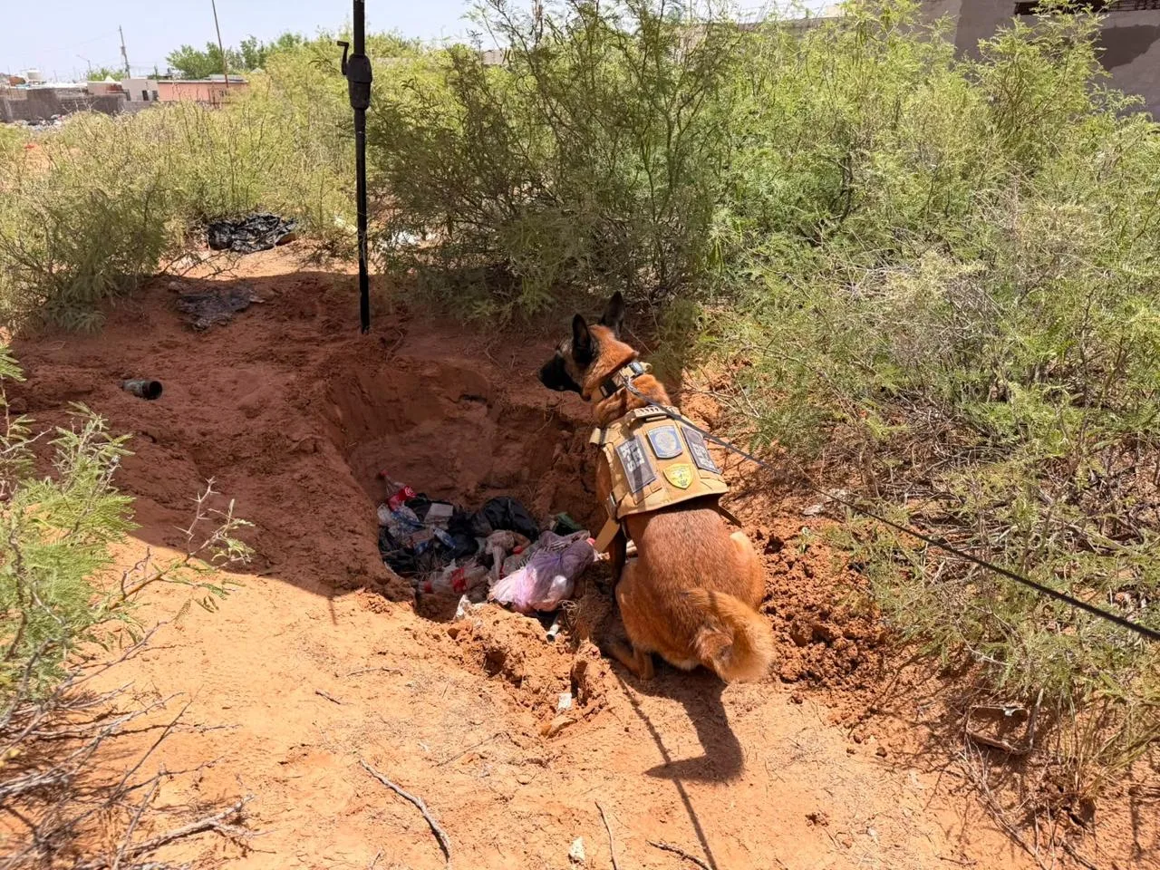 Localizan dos osamentas en un rastreo de la Unidad de Personas Ausentes en Ciudad Juárez - imagen 2