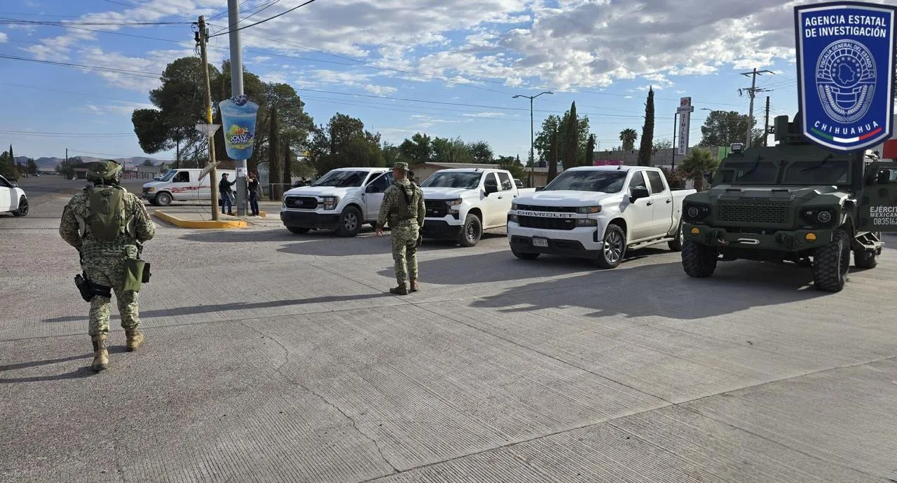FGE despliega operativo de pega de pesquisas en Janos y Ascensión, Chihuahua - imagen 6