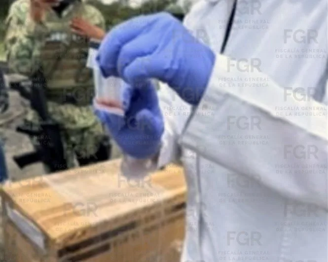 FGR incinera más de 300 kg de narcóticos en Estado de México - imagen 2
