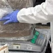 FGR incinera más de 300 kg de narcóticos en Estado de México - imagen 9