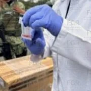 FGR incinera más de 300 kg de narcóticos en Estado de México - imagen 3