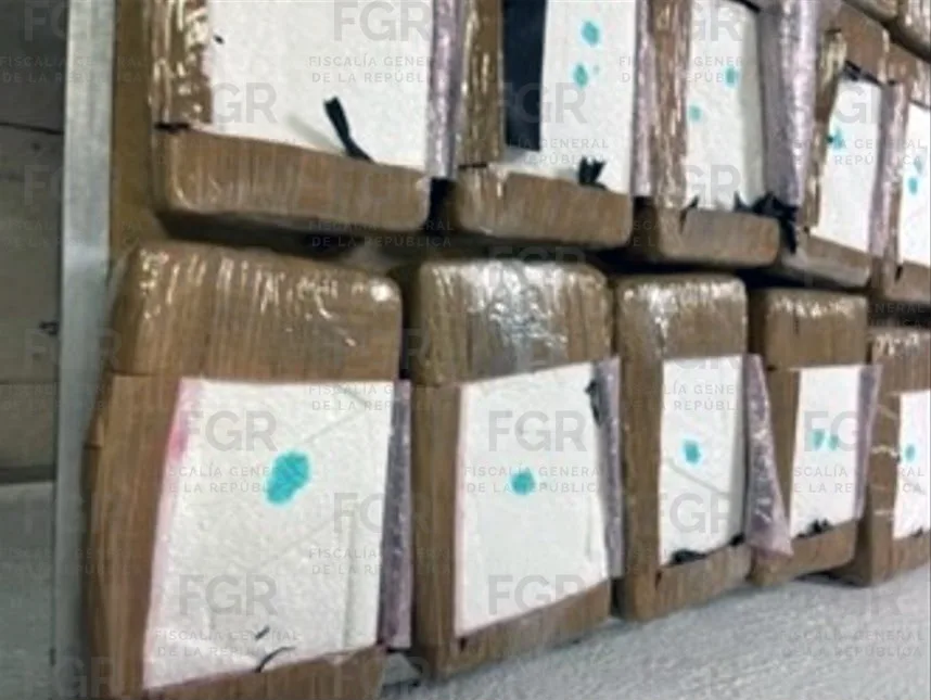 FGR incinera más de 300 kg de narcóticos en Estado de México - imagen 6