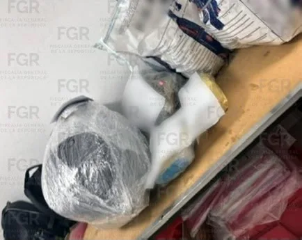FGR incinera más de 300 kg de narcóticos en Estado de México - imagen 14