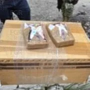 FGR incinera más de 300 kg de narcóticos en Estado de México - imagen 11
