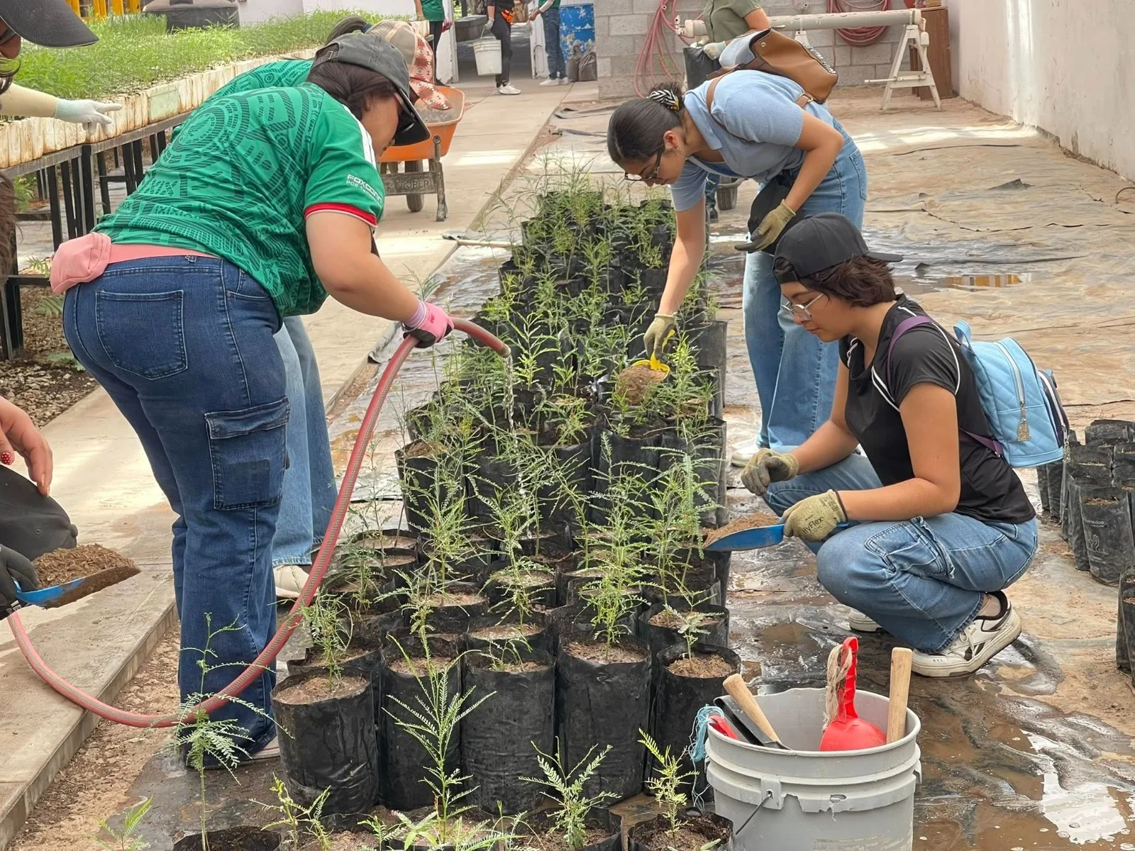 50 voluntarios de Foxconn apoyan labores en el Vivero Municipal de Jerónimo - imagen 1