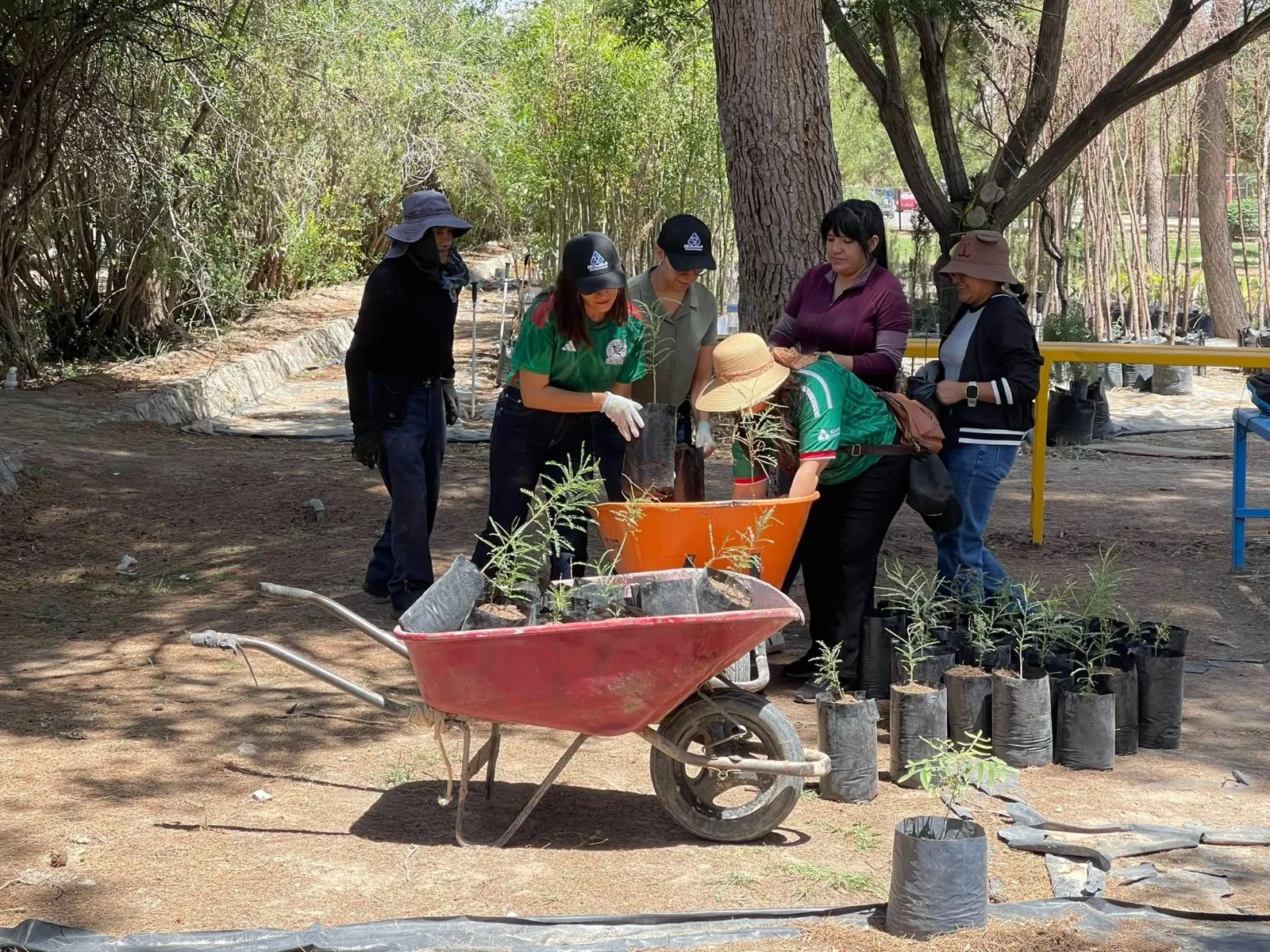 50 voluntarios de Foxconn apoyan labores en el Vivero Municipal de Jerónimo - imagen 2