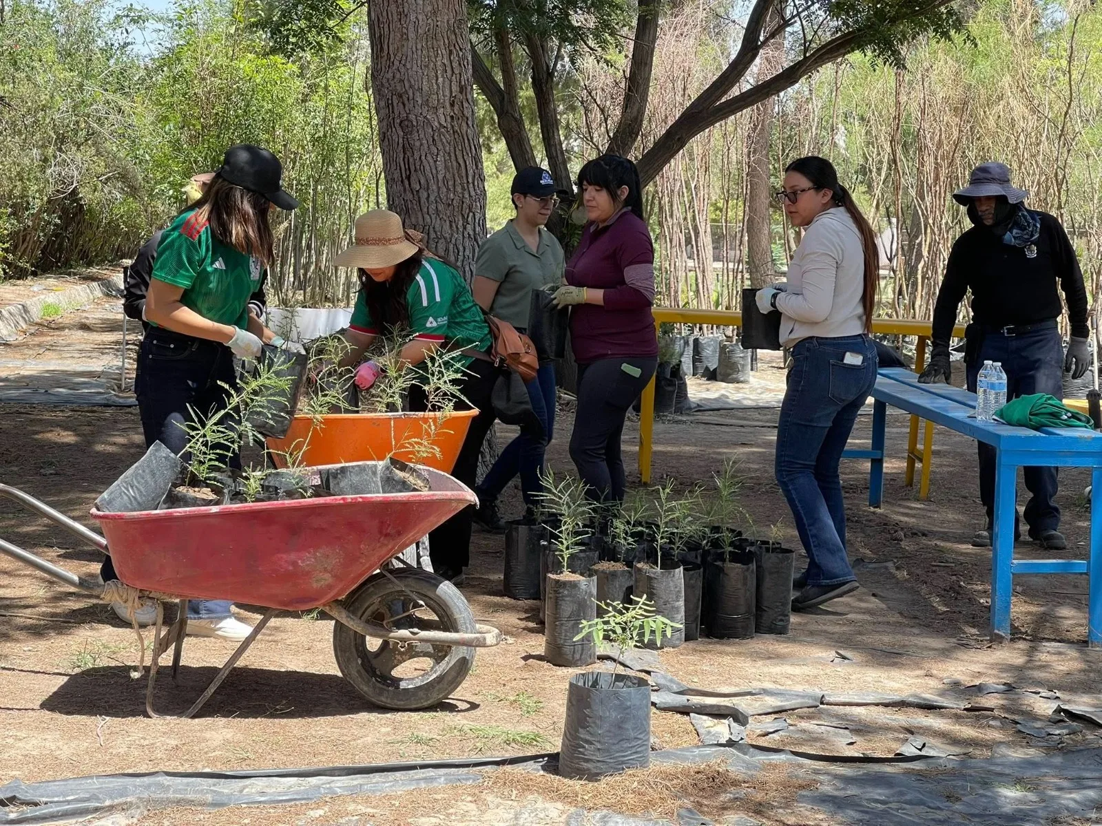 50 voluntarios de Foxconn apoyan labores en el Vivero Municipal de Jerónimo - imagen 5