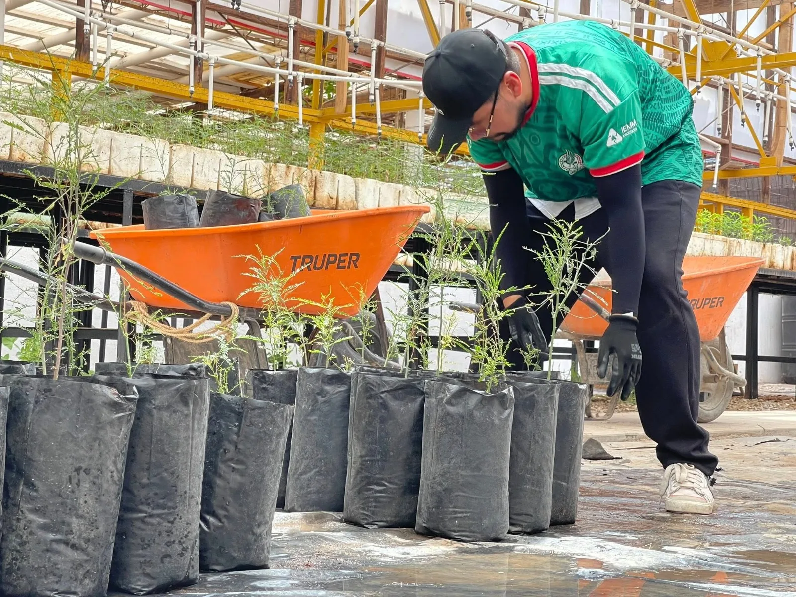 50 voluntarios de Foxconn apoyan labores en el Vivero Municipal de Jerónimo - imagen 7