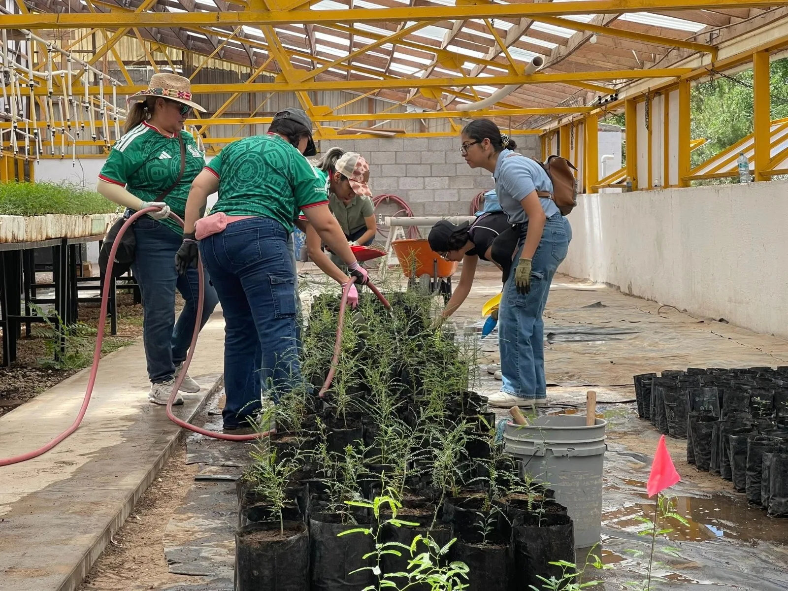 50 voluntarios de Foxconn apoyan labores en el Vivero Municipal de Jerónimo - imagen 8