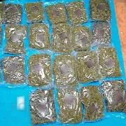 Sentencia de 10 años de prisión por tráfico de marihuana en Playa del Carmen, Quintana Roo - imagen 1