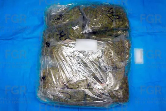 Sentencia de 10 años de prisión por tráfico de marihuana en Playa del Carmen, Quintana Roo - imagen 4