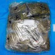 Sentencia de 10 años de prisión por tráfico de marihuana en Playa del Carmen, Quintana Roo - imagen 5