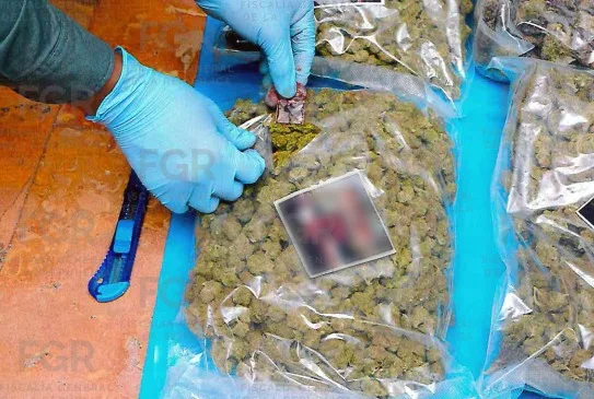 Sentencia de 10 años de prisión por tráfico de marihuana en Playa del Carmen, Quintana Roo - imagen 2